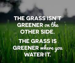 If the grass is greener on the other side of the fence, you can bet the water bill is higher. if the grass looks greener on the other side, it is probably astroturf. if your manager is one that isn't engaged with your career development by offering frequent advice and guidance, it's time to look for greener pastures. That The Grass Isn T Always Greener On The Other Side Home Facebook