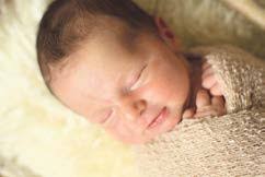 Eine Eberesche für den 2020er Jahrgang