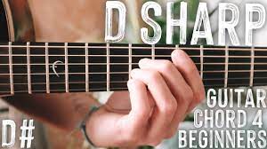 How To Play D Sharp Major Guitar Chord Beginner Guitar Chord Series 13 Shorts Youtube