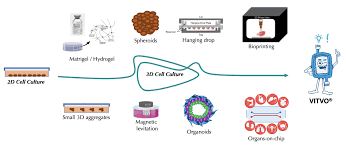 Learn vocabulary, terms and more with flashcards, games and other study tools. 3d Cell Culture Bioreactors Rigenerand