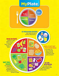 Buy Creative Teaching Press My Plate Poster Chart 1007