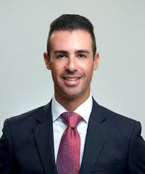 Bildergebnis für David Shapiro