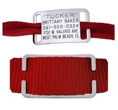Boomerang Tags Collar Tags This Is The Method I Prefer I Like That You Can Slip It Off One Collar And Onto The Next If You Re One Of Those Fa Pet
