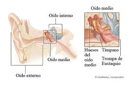 Image result for Otalgia