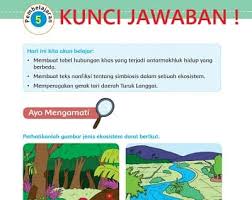 Nathan obrien kunci jawaban buku paket bahasa jawa kelas 9 kurikulum. Lengkap Kunci Jawaban Tema 5 Kelas 5 Halaman 85 87 89