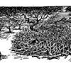 A boma is a livestock enclosure, community enclosure, stockade, corral, small fort or a district government office, commonly used in many parts of the . Https Encrypted Tbn0 Gstatic Com Images Q Tbn And9gcqvej3zrm3h9 Ot1xj1pfqjme7raccftb6pldqkvjqurh2zgsbc Usqp Cau