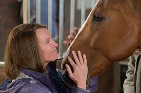 Dream horse tells the inspiring true story of dream alliance, an unlikely race horse bred by small town welsh b. Bild Zu Toni Collette Dream Horse Bild Toni Collette Filmstarts De