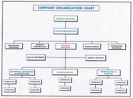 Company Organisation Chart Tvmc Llc