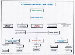 company organisation chart tvmc llc