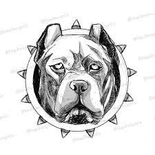 Pitbull Dog Clipart Dog Sketch Png Files Stencil Digital Etsy Dog Sketch Dog Clip Art Dog Stencil