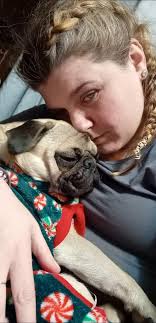 Has anybody seen him round bristol area by the sheriff's or hwy 12 going  down by the dollar store. He went missing 2 days ago I still haven't found  him.