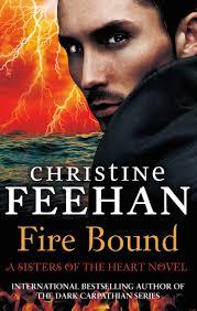 Fire Bound: 9780349410326: Books
