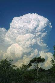 Cumulus Clouds