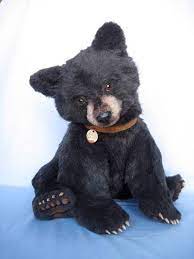 A Big Win For The Hope Learning Center Update December 8 2013 Teddy Bear Bear Stuffed Animal Bear Doll
