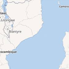 Image result for Afrosciadium rhodesicum