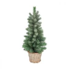 Was gibt es für einen mini tannenbaum? Kleiner Tannenbaum Im Topf It S All About Christmas