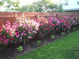 Flower Bed Rose Garden Landscape Backyard Landscaping Designs Backyard Landscaping
