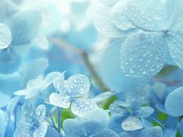 They may like green, pale yellow, violet etc. We Guess Your Favorite Color According To Your Zodiac Sign