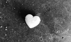 Bildresultat för ingen tro och hopp