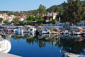 Μεγάλη φωτιά και στο μαντούδι ευβοίας. Limnh Eyboias Evia Halkida Photos By Elias Thalassis