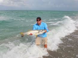 As soon as you catch one. Regional Angling Advice How To Catch Snook In South West Florida West Marine