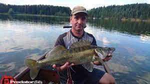 Der stausee ottenstein ist flächenmäßig der größte der drei kampstauseen. Megabite 2016 Am Stausee Ottenstein Predator Fishing