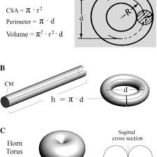 Consider a cylinder having a height 'h' and base radius 'r'. A View Of How The Cross Sectional Area Csa Of A Torus Would Look Download Scientific Diagram