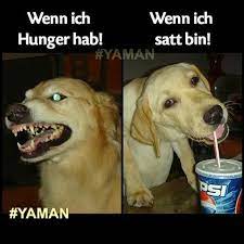 pin de parro macar en deutsch