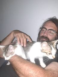 Di che colore sono i nostri gatti? : r/Katzengruppe