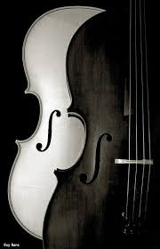 Black And White Music Instruments Photography Pour Une Vie Au Long Sel Black And White Photography White Photography Black And White