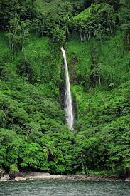 Cocos island is located in the eastern tropical pacific approximately 300 miles southwest of cabo blanco, costa rica. Cocos Island Waterfall A Jungle Waterfall On The Coast Of Cocos Island Costa Ri Sponsored Waterfall Island Cocos Jung Cocos Island Waterfall Island