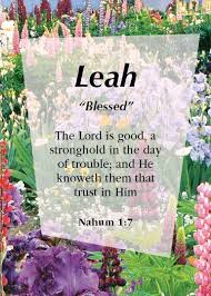 Pin By Daydream Cards On Dream Names Names With Meaning Name Cards The Lord Is Good