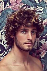 Brown Curly Hair With Blond Highlights Here And There Hipster Hairstyles Men S Curly Hairstyles Haircuts For Men