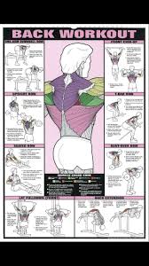Back Training Gym Workout Chart Gym Workouts Workout Posters