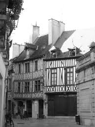 Dijon 2016 Photo Catcatf21 Chouette Dijon Dijon France Dijon