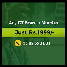 How much does an mri for your dog or cat cost? 50 Discount For Ct Scan In Mumbai Save Your Money