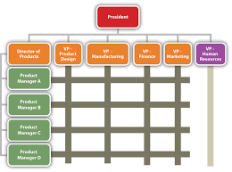 Reading The Organization Chart And Reporting Structure