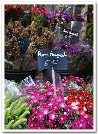 Bouquets Of Reine Marguerite Aster Flowers At A Florist S Shop In Paris France Aster Flower Florist Shop Flowers