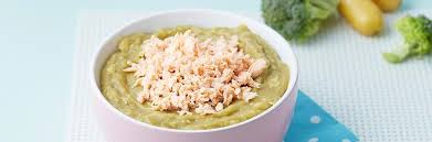 Recette Bebe 6 Mois Blanc De Poulet Aux Carottes Et Brocolis Bledina Recette Blanc De Poulet Repas Bebe Recette Blanc De Poulet