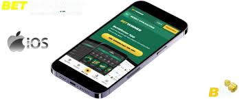 BetWinner Guidebook | BetWinner Platform