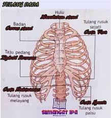 Check spelling or type a new query. Tweets With Replies By Semangat Ipa Semangatipa Twitter