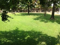 When to apply pre emergent in garden. Fall Pre Emergent Backbone Valley Nursery