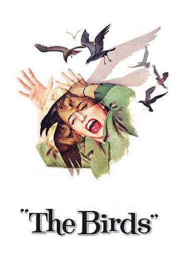 The Birds (1963) directed by Alfred Hitchcock • Reviews, film + cast •  Letterboxd