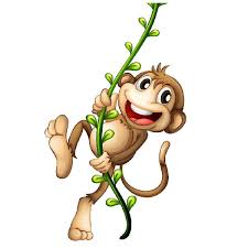Image result for monkey picture cartoon