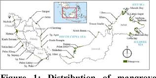 Mangrove forests provide great resources for local communities: Applicability Of Satellite Monitoring On Mangrove Forests In Malaysia A Review Of Potential Benefits And Challenges Semantic Scholar