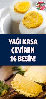 Yagi Kasa Ceviren 16 Besin Beslenme Saglikli Diyet Yiyecekleri