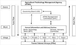 Organizational Structure Of The Agricultural Technology
