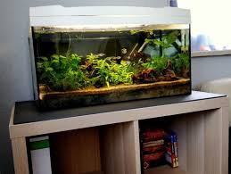 Dieses möbelstück unbedingt mit dem erfahre hier alles. Kallax Expedit Regal Als Aquarium Unterschrank Aquarium Fische Pflanzen De