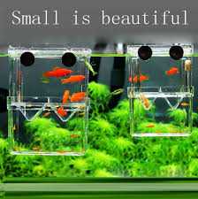 Aquarium Hanging Multifunctional Isolation Breeding Guppies Fish Betta Fish Hatching Isolation Box Free Shippingsz2 Fish Breeding Mini Aquarium Betta Fish Tank