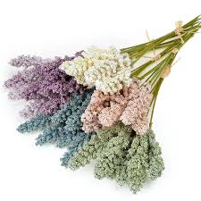 Check spelling or type a new query. 6pcs Bundle Cheap Mini Vanilla Spike Foam Artificial Flowers For Home Wall Decoration Berry Cereals Plant Bunch Of Flower Artificial Dried Flowers Aliexpress